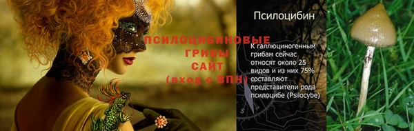 герыч Верхний Тагил