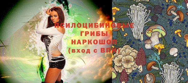 герыч Верхний Тагил